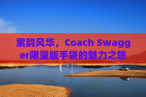 紫韵风华，Coach Swagger限量版手袋的魅力之旅